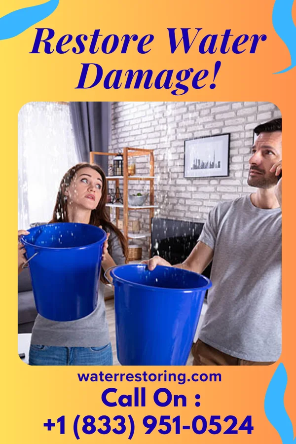 water restoration Lightning Mitigation Experts Nealmont
