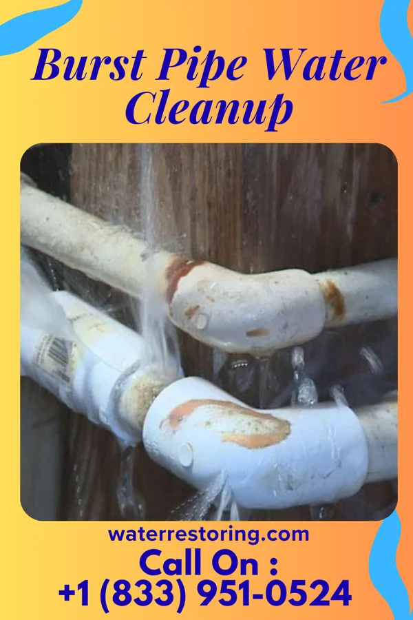 Burst Pipe Water Cleanup in Nealmont, PA