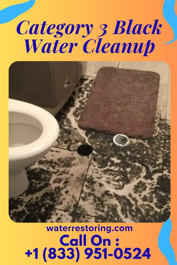 Category 3 Black Water Cleanup in Nealmont, PA