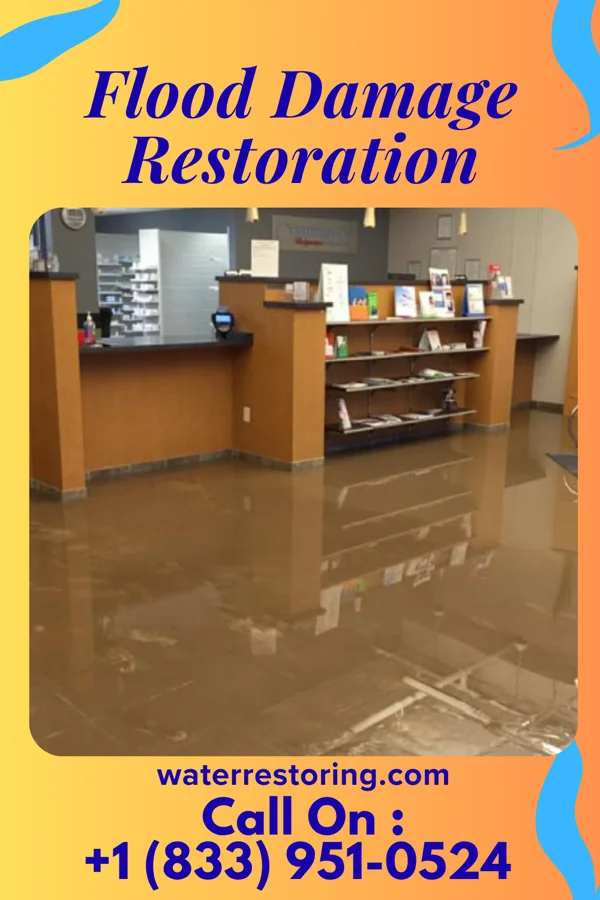 Flood Damage Restoration in Nealmont, PA