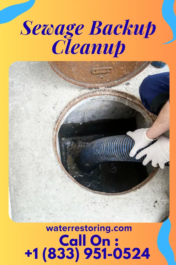 Sewage Backup Cleanup in Nealmont, PA