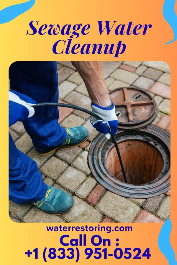 Sewage Water Cleanup in Nealmont, PA