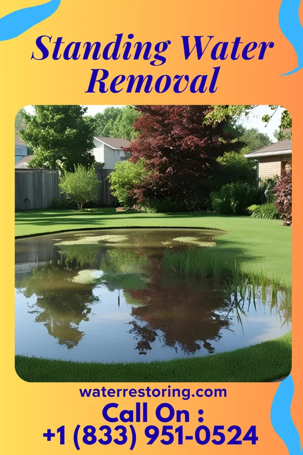 Standing Water Removal in Nealmont, PA
